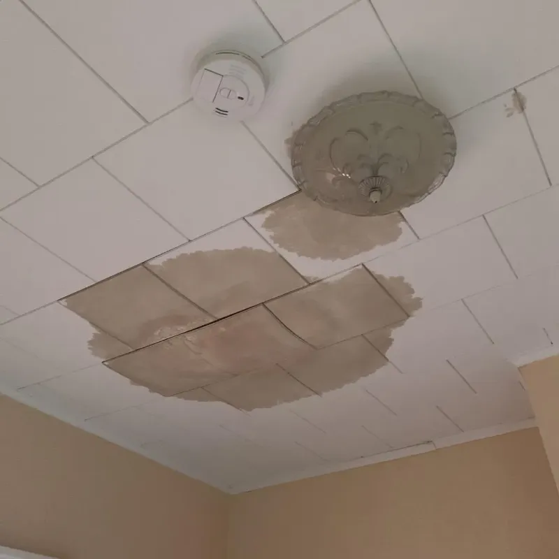 Ceiling Water Damage Repair in Hancock County, OH