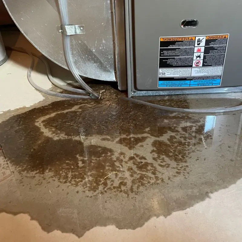Pipe Burst and Leak Restoration in Hancock County, OH