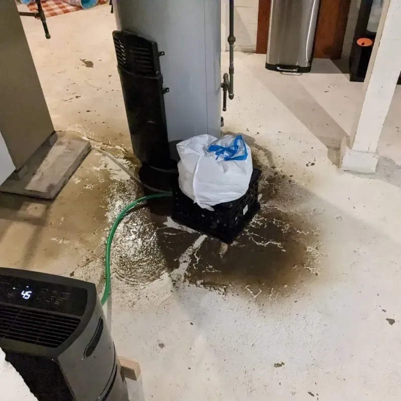 Sewage Backup Cleanup Service in Hancock County, OH